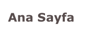 Ana Sayfa